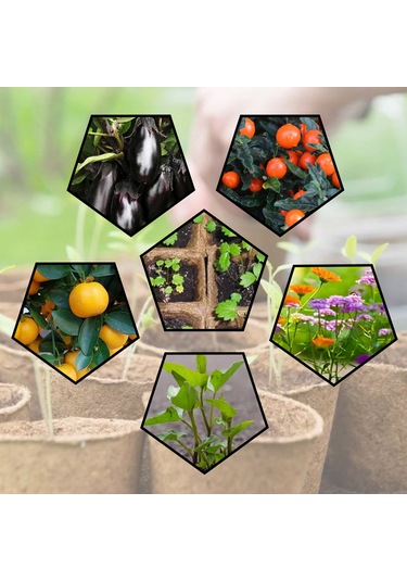 Neevoyu 100 Adet 8cm Biyodegradable Fidan Suketi + 100 Bitki Etiketi + Fidan Çekici - Organik Toprak Dostu Fidan Yetiştirme Seti