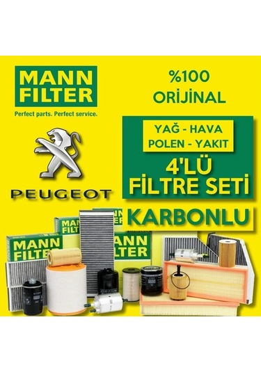 Peugeot 508 1.6 Hdi Mann Filtre Seti 2014-2018 (495584906)
