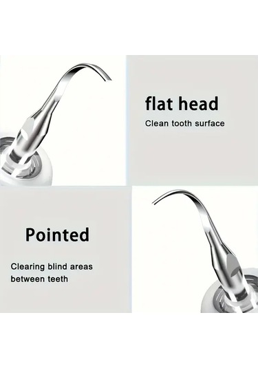 Willowhaven Siyah Elektrikli Diş Temizleyici Diş Plak Tartar Temizleme Ev Seyahat Seti