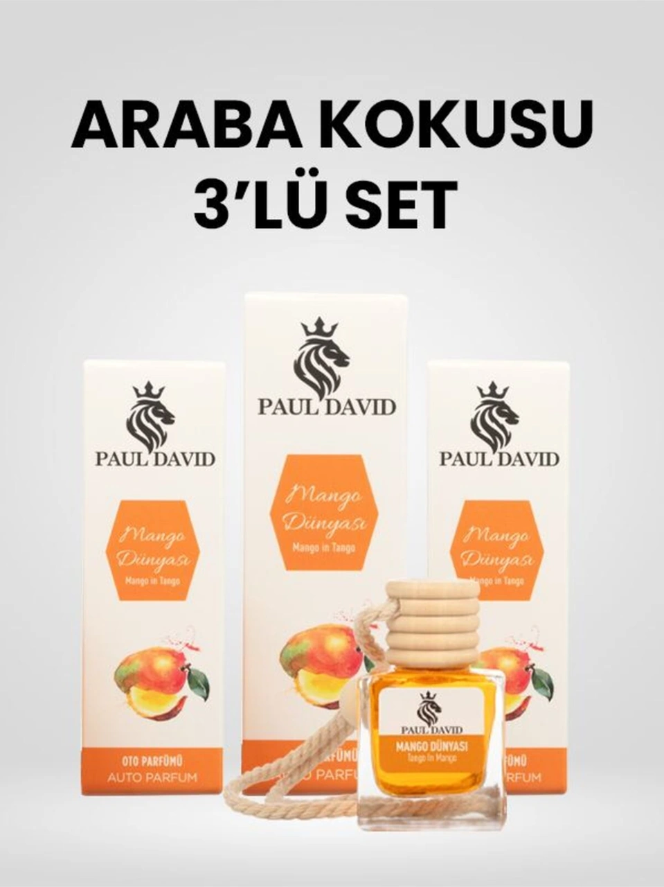 Dekoratif Araç Oto Kokusu 3 Lü Set Mango Dünyası