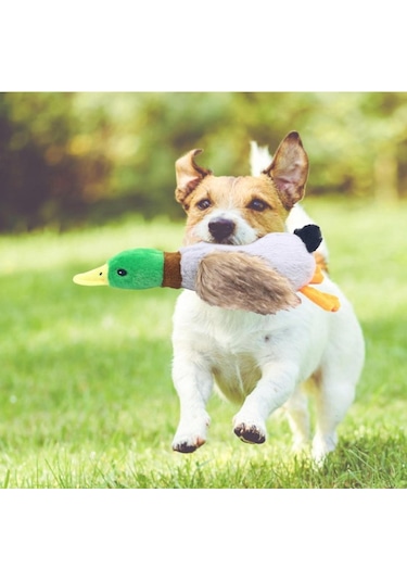 Konyax Sesli Ördek Şekilli Peluş Köpek Oyuncağı