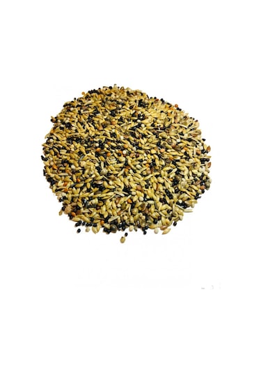 Karışık Kanarya Yemi 1 KG