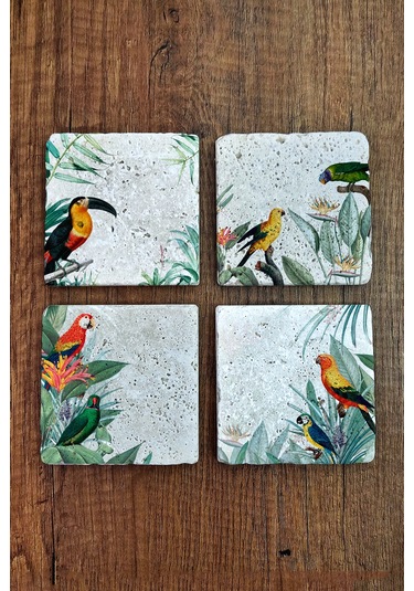 Doğal Taş Bardak Altlığı 4'lü Set 10x10x1 Cm Tropikal Kuşlar Baskılı Stone Coasters Çok Renkli