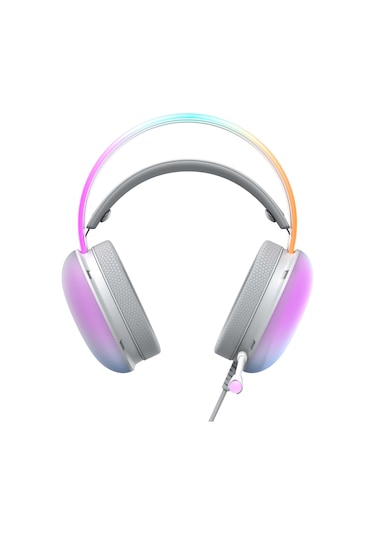 Havit Gamenote H2037D 3.5 MM RGB Mikrofonlu Oyuncu Kulaklığı