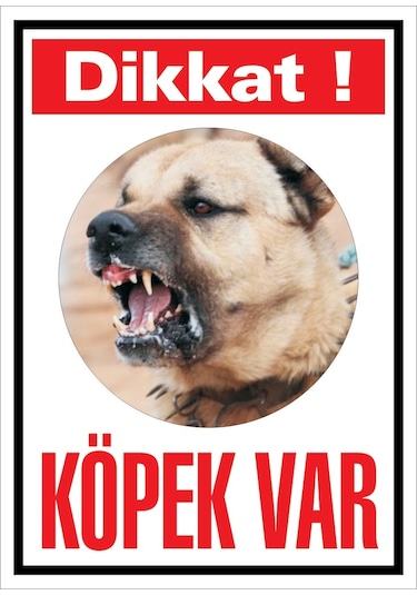 Köpek Var Kangal