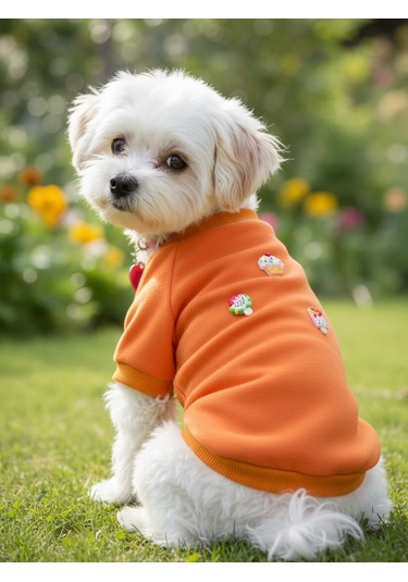 Ice Cream And Cupcakes Köpekler İçin Polar Sweatshirt