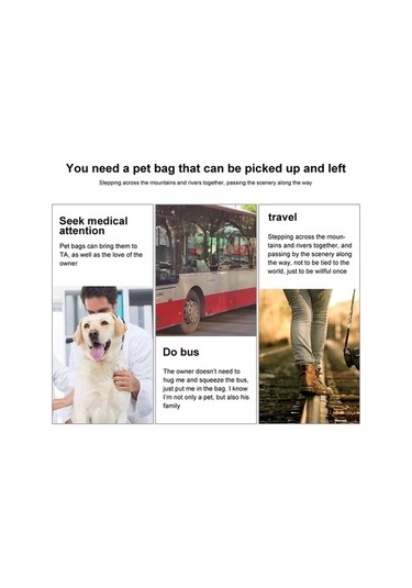 Dm Cbtx Eva Katlanır Taşınabilir Pet Tote Çantası - Evcil Hayvan Taşıma Çantası Bej