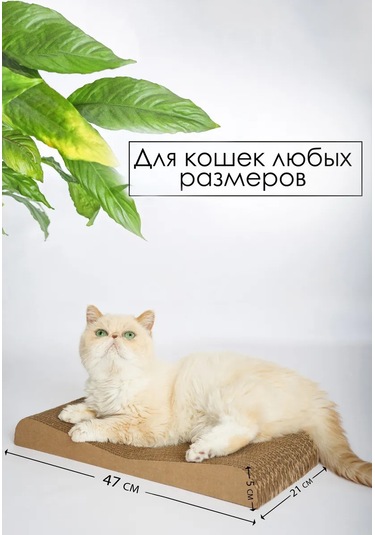 Zver'e Moe Karton Kedi Tırmalama Tahtası Dune 451638792