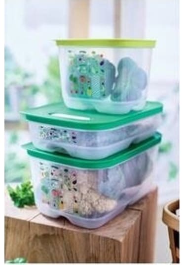 Tupperware Sera Set - 4 Parça Çok Renkli