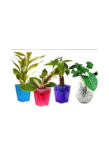 Su Maymunu 4.000 Adet Şişen Büyüyen Su Topu Boncuk 9-11 Mm