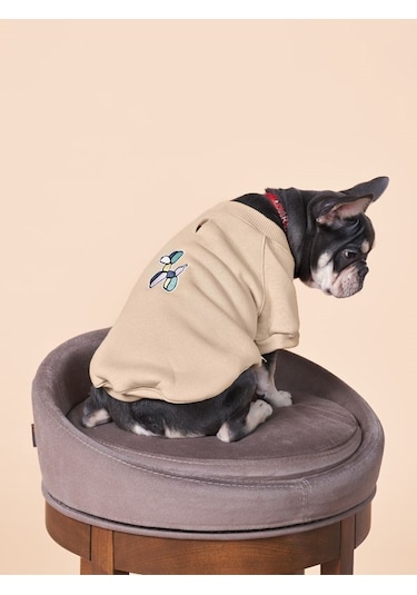 Balloon Küçük ve Orta Irk Köpekler İçin Köpek Sweatshirt