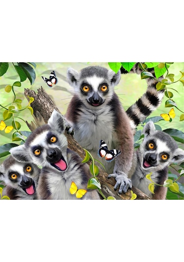Prime 3d - Lemur Pelüş Ve Selfie 48 Parça Puzzle 15801