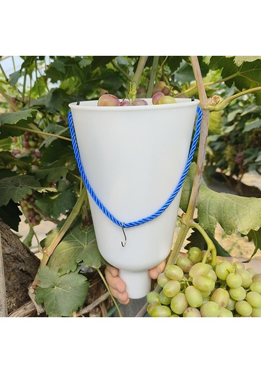 Suntek Üzüm Meyve Islatma Kupası Yetiştirme Bakımı S