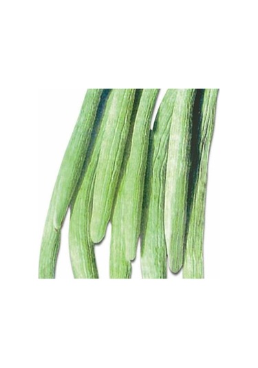 Kıtır Kıtır Yemesi Olan Geleneksel Uzun Anadolu 106 Acur Tohumu 20 Tohum