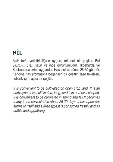AGRodal Tarım Ata Tohumu Yerli Doğal İnce Tere 1000 Adet Tohum