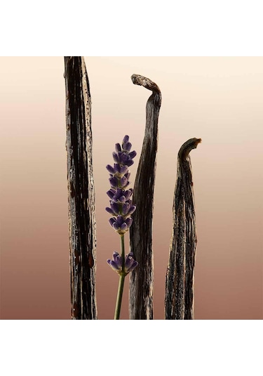 Burberry Goddess Kadın Parfüm EDP 100 ML