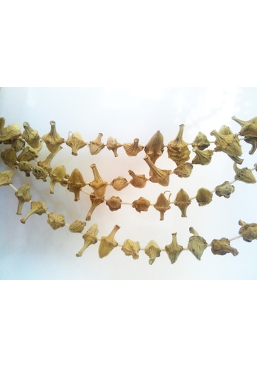 Kuru Çiçek Bamya 100 G