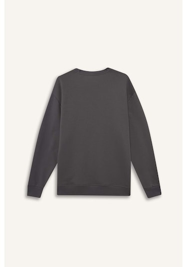Defacto Relax Fit Bisiklet Yaka Kalın İçi Yumuşak Tüylü Basic Düz Sweatshirt T5139az25augr438 Gri Defacto Relax Fit Bisiklet Yaka Kalın İçi Yumuşak Tüylü Basic Düz Sweatshirt T5139az25augr438 Gri