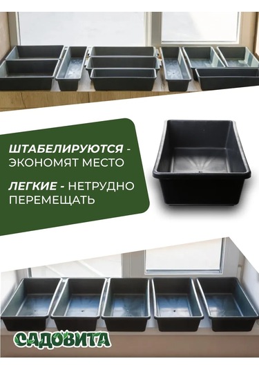 Sadovita Fide Kutusu 431563697