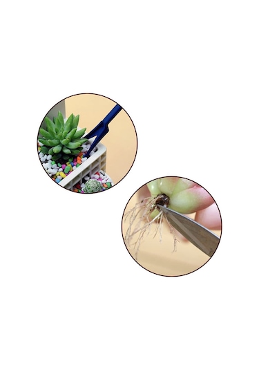 Symbee 14 Parça Çiçek Ve Sukulent Bakımı Seti - Toprak Döşeme, Budama, Sulama Ve Transplante Araçları