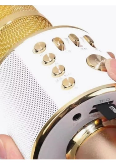 Mikrofon Karaoke Kablosuz Mikrofon İçin Karaoke/bluetooth 231335351
