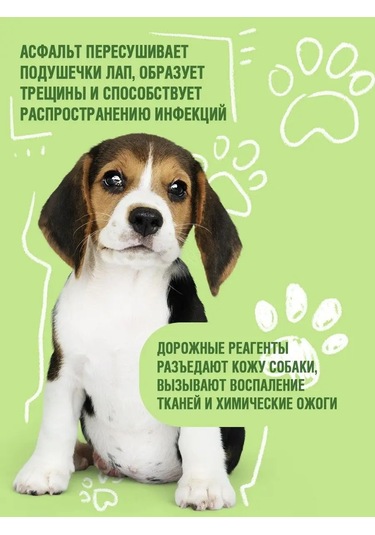 Ecozavr Pantenol İçeren, A, E Vitaminli 4500 Ml Köpek Şampuanı. 168687928