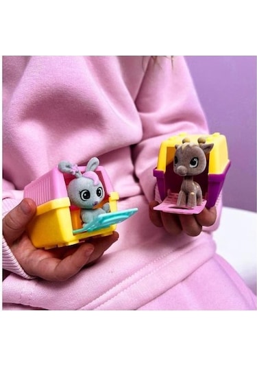 House Pets Evcil Hayvanlar