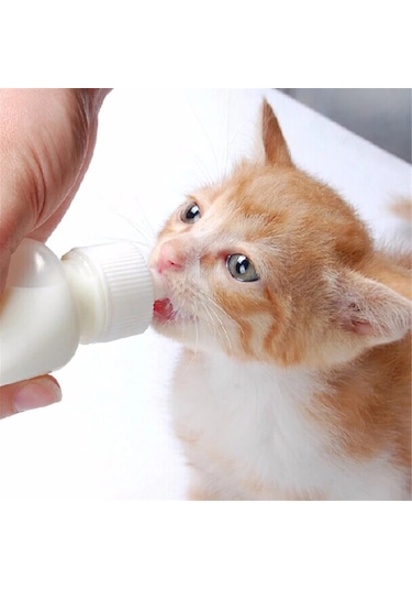Tineke Yavru Kedi Köpek Biberonu 2 Emzikli 50 ML