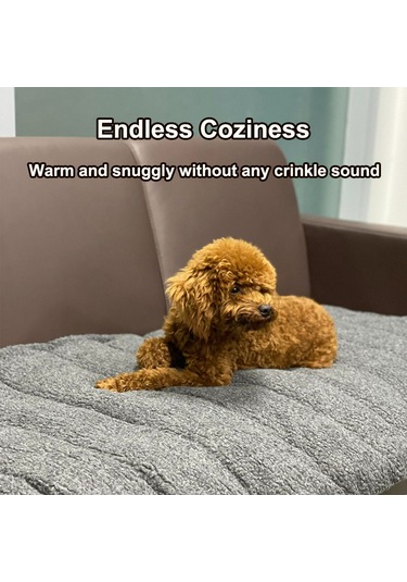 Geeroyoo Evcil Hayvan Isıtmalı Yatak Taşınabilir, Anti-kayak Tabanlı, Gri, 100x70cm