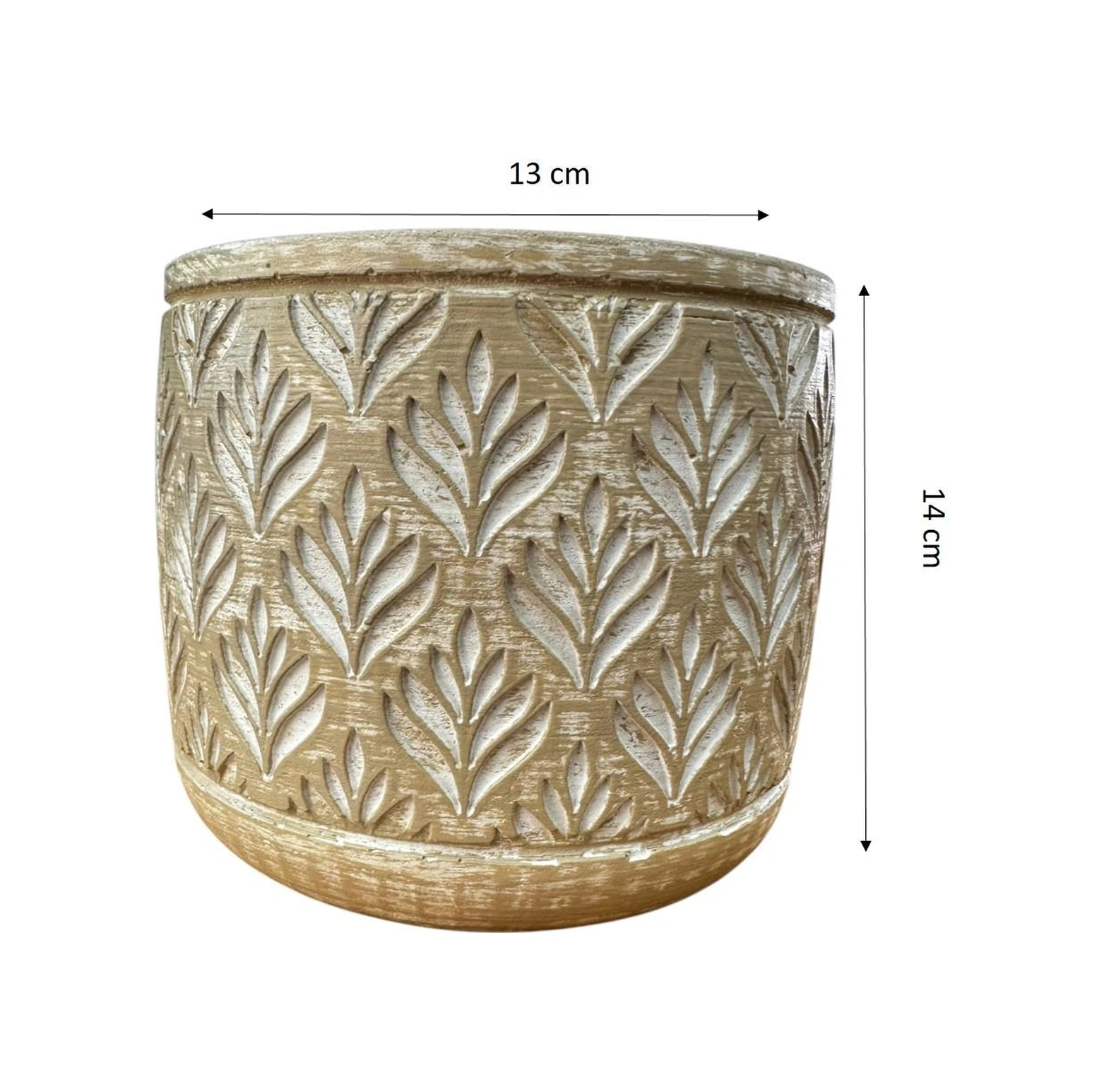 Bitki Tasarımı Ev Dekorasyon Bej Lotus Beton Saksı Çiçeklik Saksılık