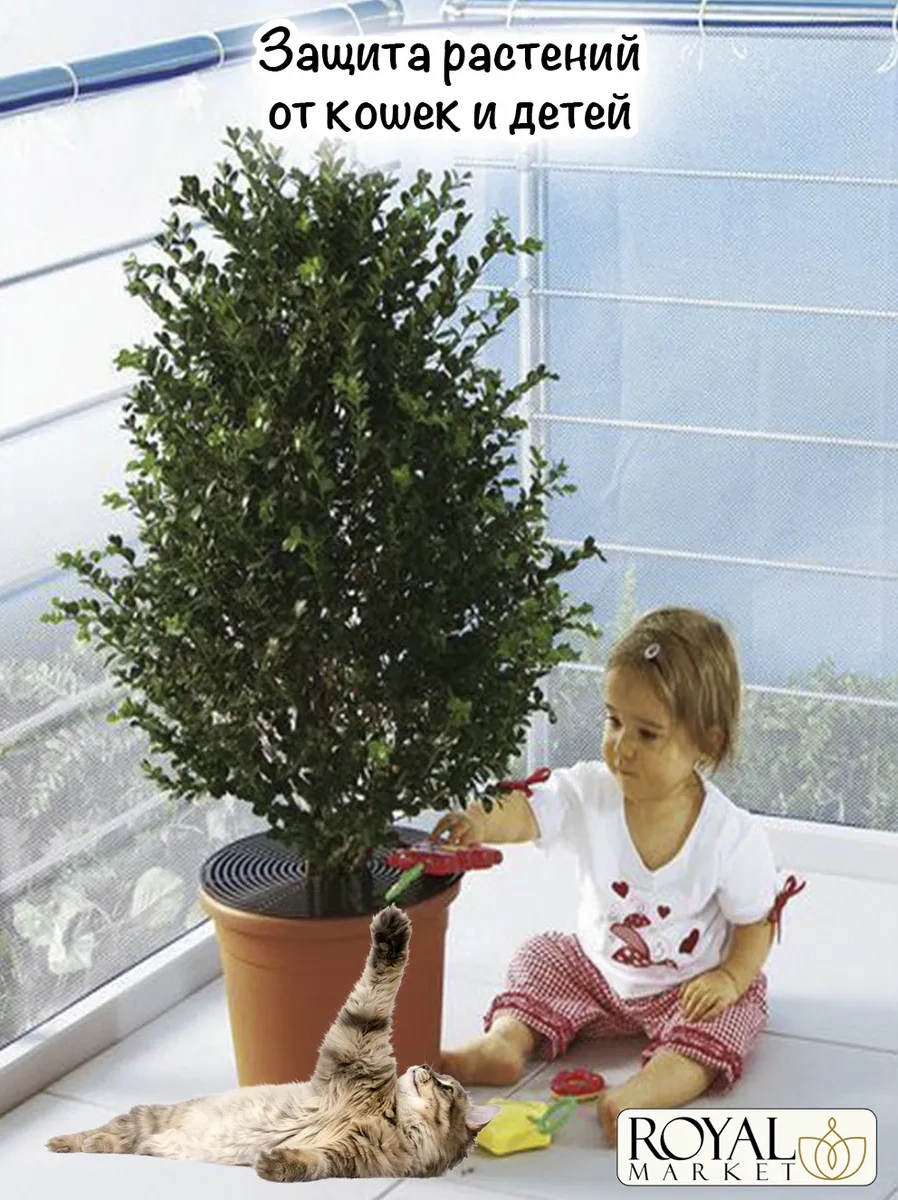 Royal Market Bitki Koruma 321194434