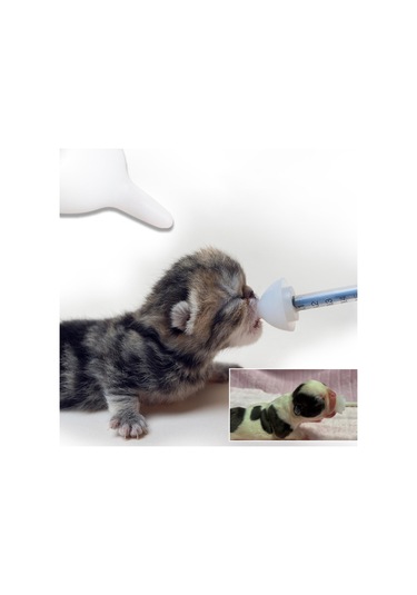 Suntek 2 Adet Yedek Meme Şişesi Kediler Köpekler Için