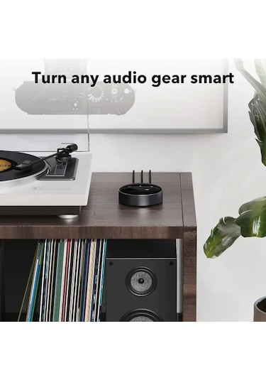 Wiim Mini Airplay2 Kablosuz Ses Aktarıcı