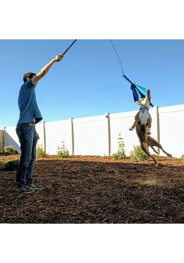 Lemestar Esnek Uzatabilir Köpek Antrenman Çubuğu - Siyah, Alüminyum Gövde, Kauçuk Sap, Diş Temizleme Ve Enerji Tüketimi İçin İç/ Dış Mekan Uygun
