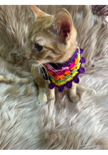 El Örgüsü Renkli Kedi Köpek Tasma Giyim Aksesuarı