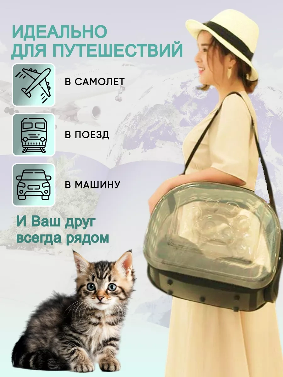 Rnb4pets Kedi Ve Köpek Taşıma Çantası 128039652