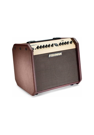 Fishman Loudbox Mini Bluetooth Akustik Amfi