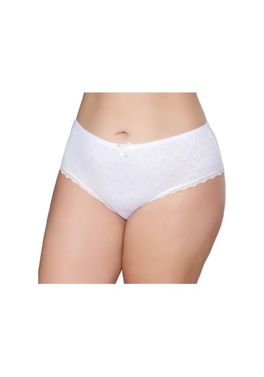 12 Adet Gümüş Bayan Renkli Jakarlı Bato Külot 3079 001