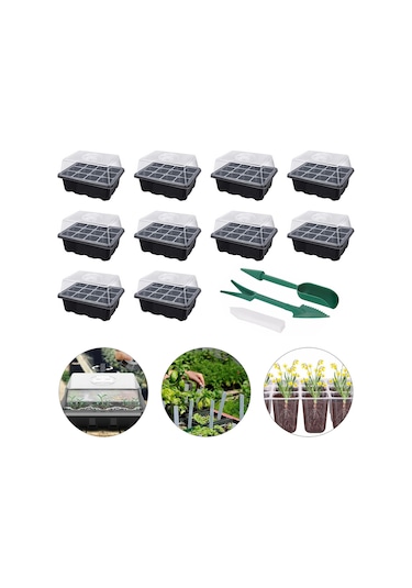 Suntek 12 Hücreli Bitki Tohumları Kutu Tepsisinde Büyür