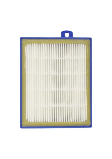 Elektrikli Süpürge Kutulu Hepa 13 Filtre Philips Elctlüx Ae G İle Uyumlu