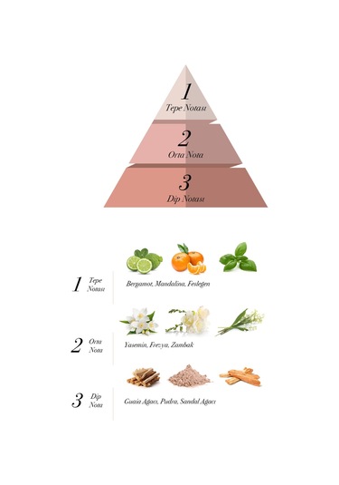 Prova Floral Boom EDP Çiçeksi Kadın Parfüm 120 ML