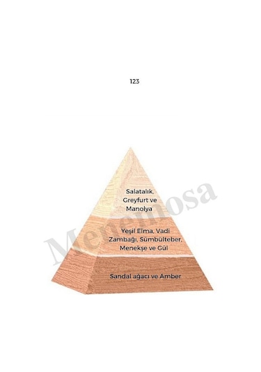 Bargello 123 Kadın Parfüm EDP 50 ML Floral - Mnms50123 Aromatik