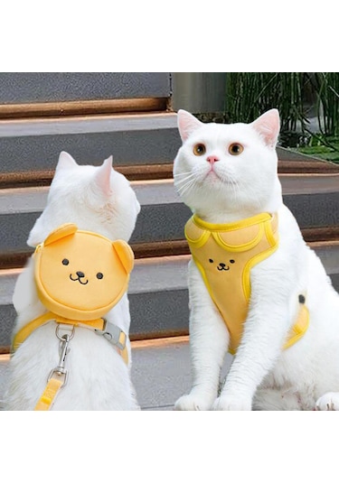 Homyl Günlük Yürüyüş Eğitimi Için Sevimli Köpek Sırt