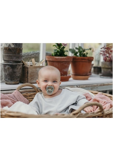 Bibs Colour 2'li Kauçuk Emzik No:1 Woodchuck 0-6 Ay Çok Renkli