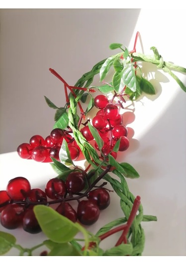 Luce St Asma 4 Damar Askılı 369786742