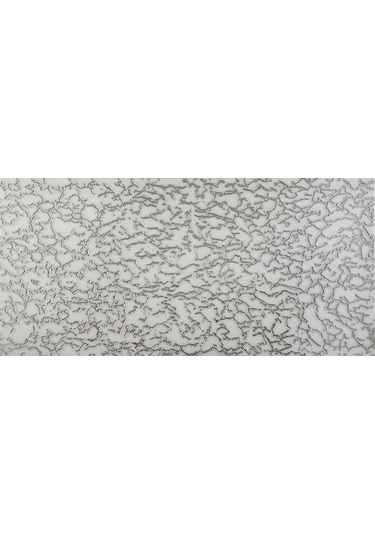 Bg34 Granitto Beyaz Zemin Gümüş İşlemeli 30x60cm Dekor