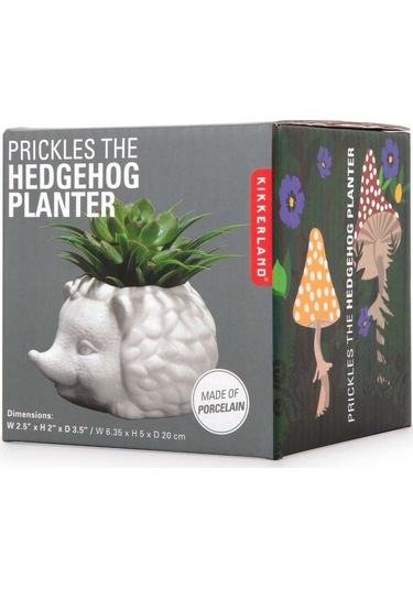 Kikkerland Prıckles The Hedgehog Planter Seramik Kirpi Saksı