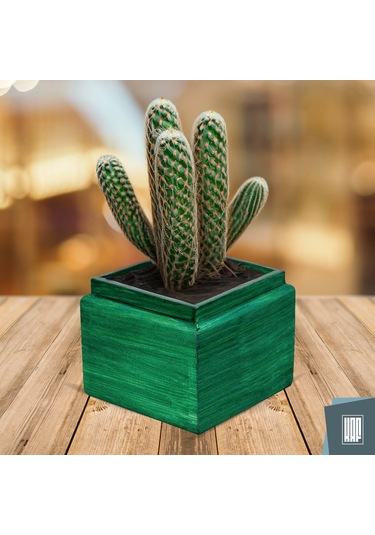 Kaf Ahşap Dekoratif Mini Saksı / Küp / Zümrüt Yeşili