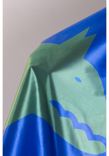 Göktürk Bayrağı Raşel Kumaş Dijital Baskı 100x150 cm