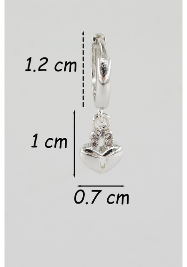 Kadın Kendi Tarzını Oluştur Zirkon Taşlı Kalp Figürlü 1 Adet Küpe-3708 Gümüş